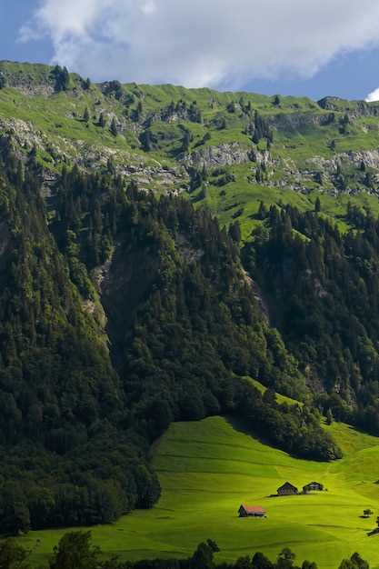 Karadeniz Turu ile Doğanın Eşsiz Güzelliklerini Keşfedin